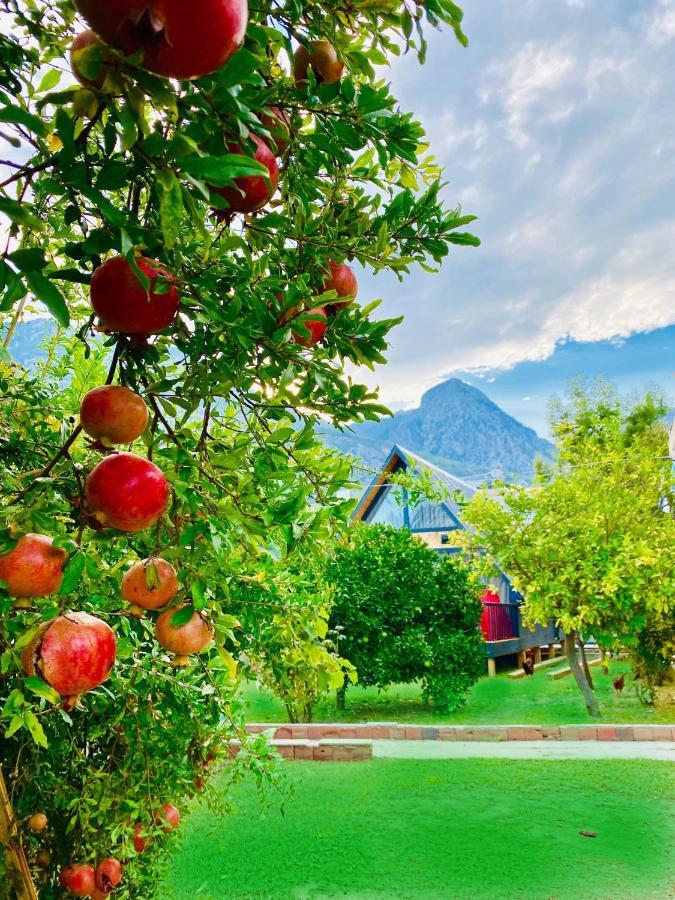 Garden Bungalow Antalya Zewnętrze zdjęcie