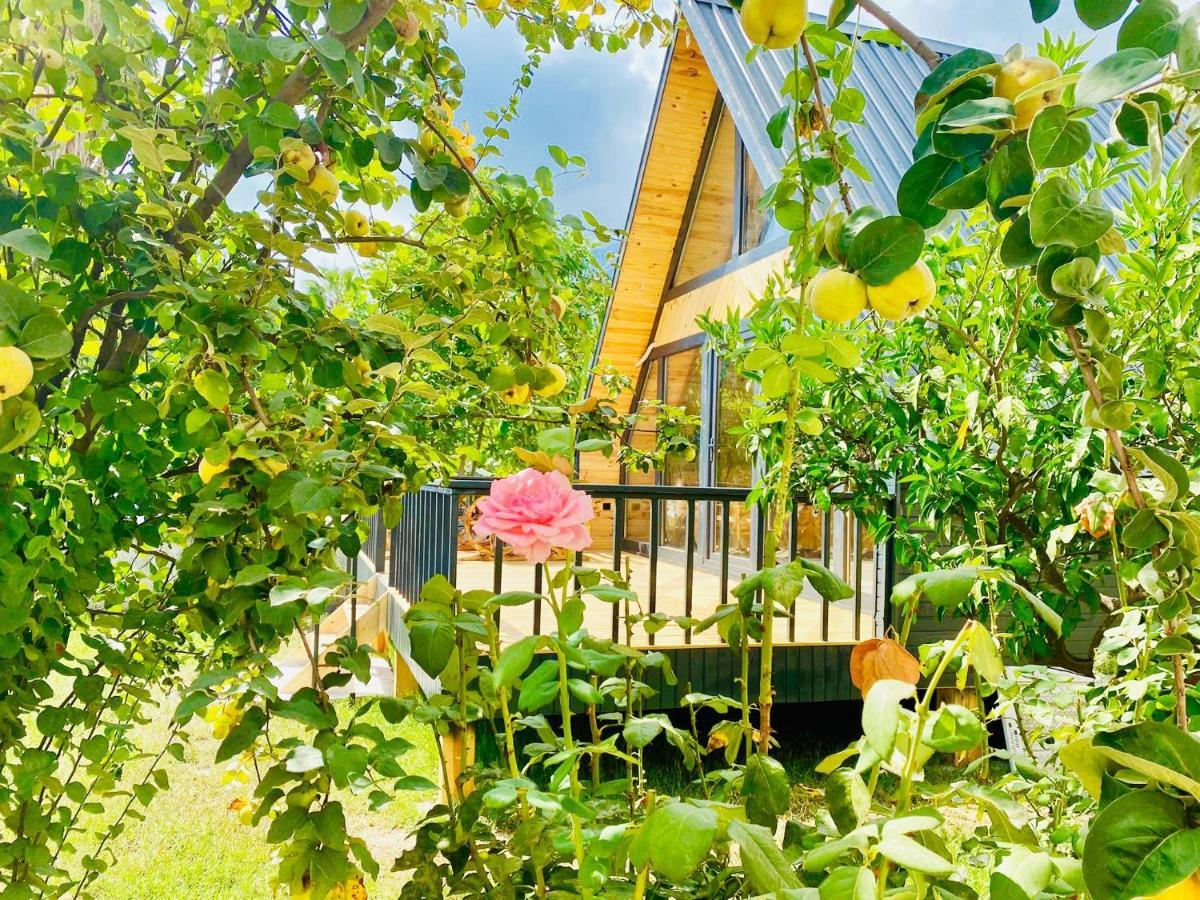 Garden Bungalow Antalya Zewnętrze zdjęcie
